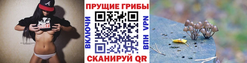 продажа наркотиков  mega зеркало  Псилоцибиновые грибы GOLDEN TEACHER  Чехов 
